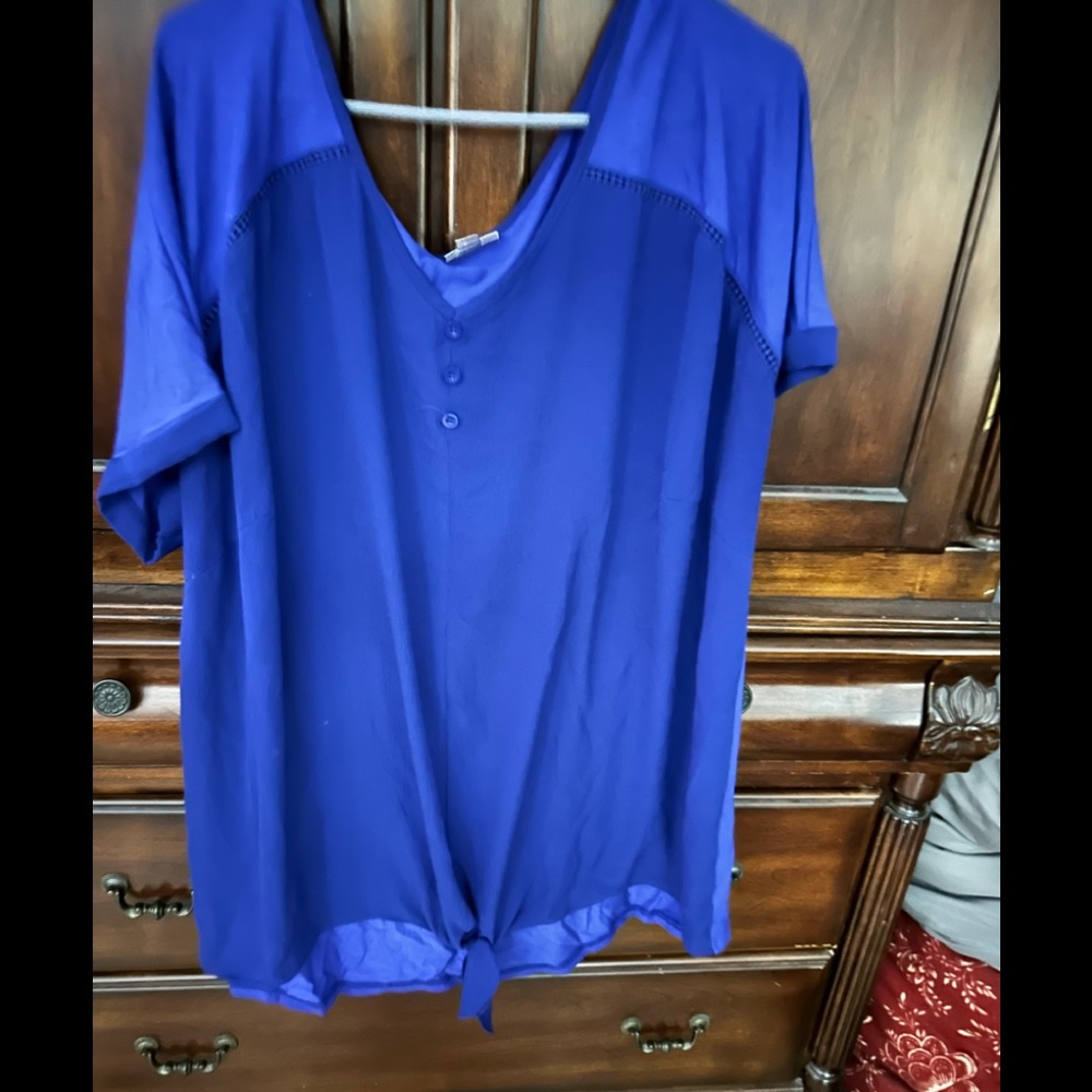 EUC beautiful blue blouse.